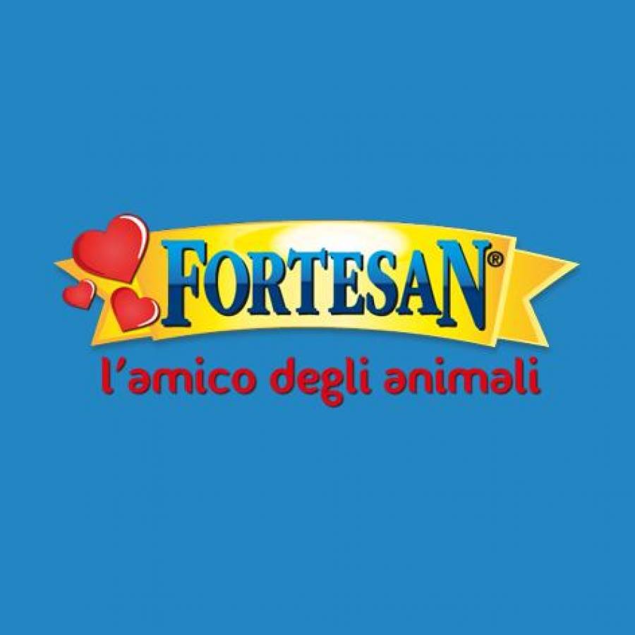 Centro Fortesan Fortino | Turin