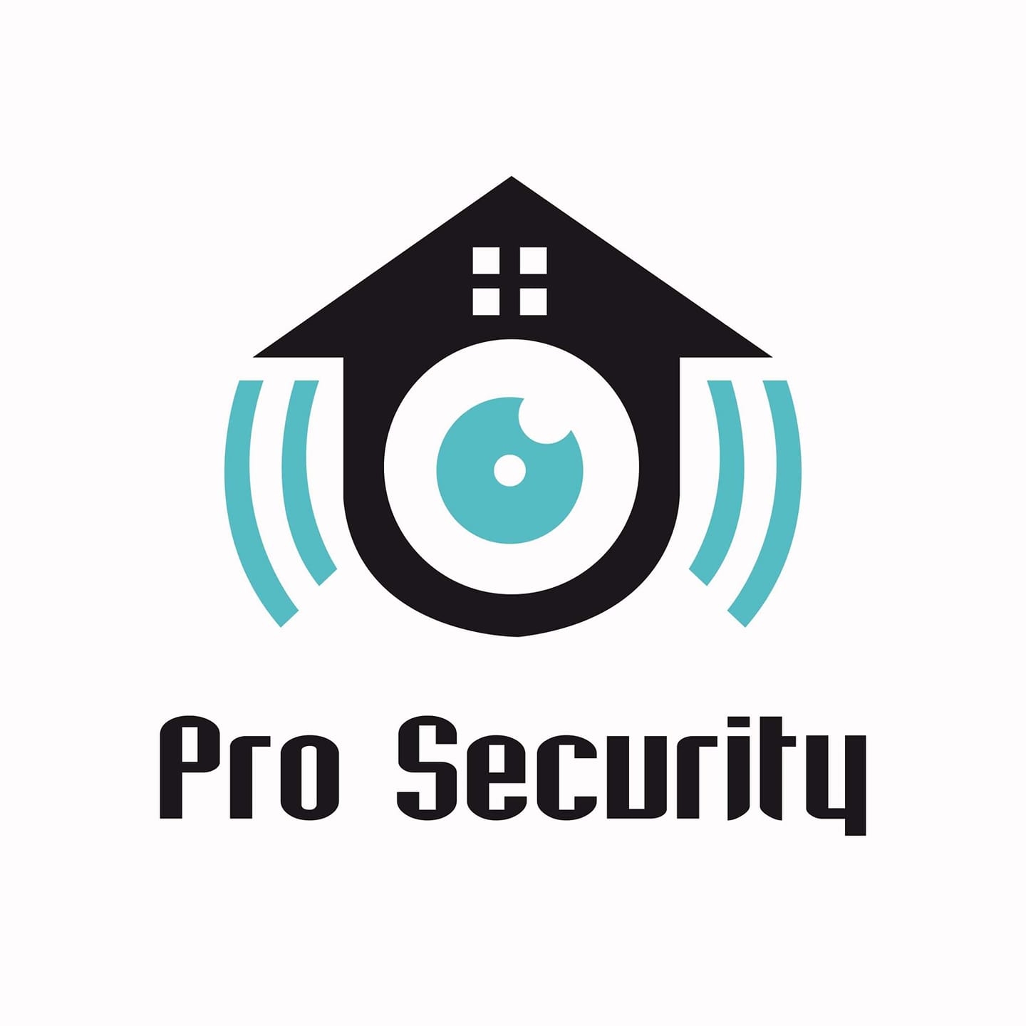 Pro Security