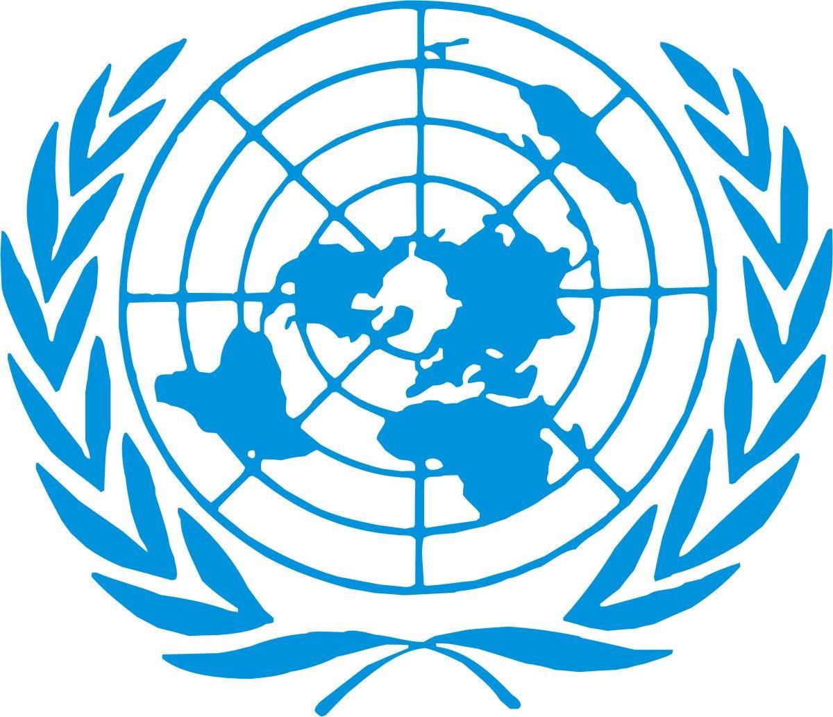 Security Council Damun XV