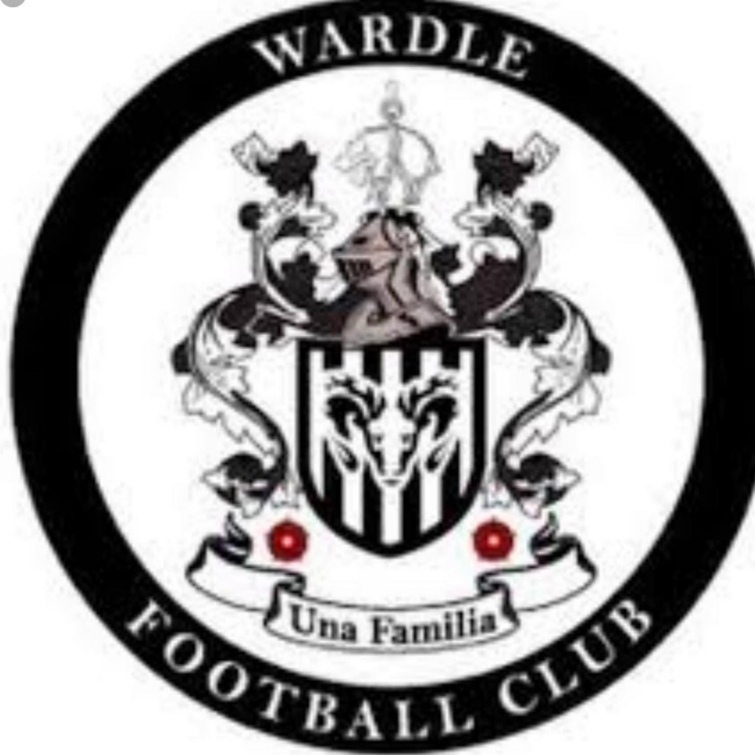 Save Wardle football club