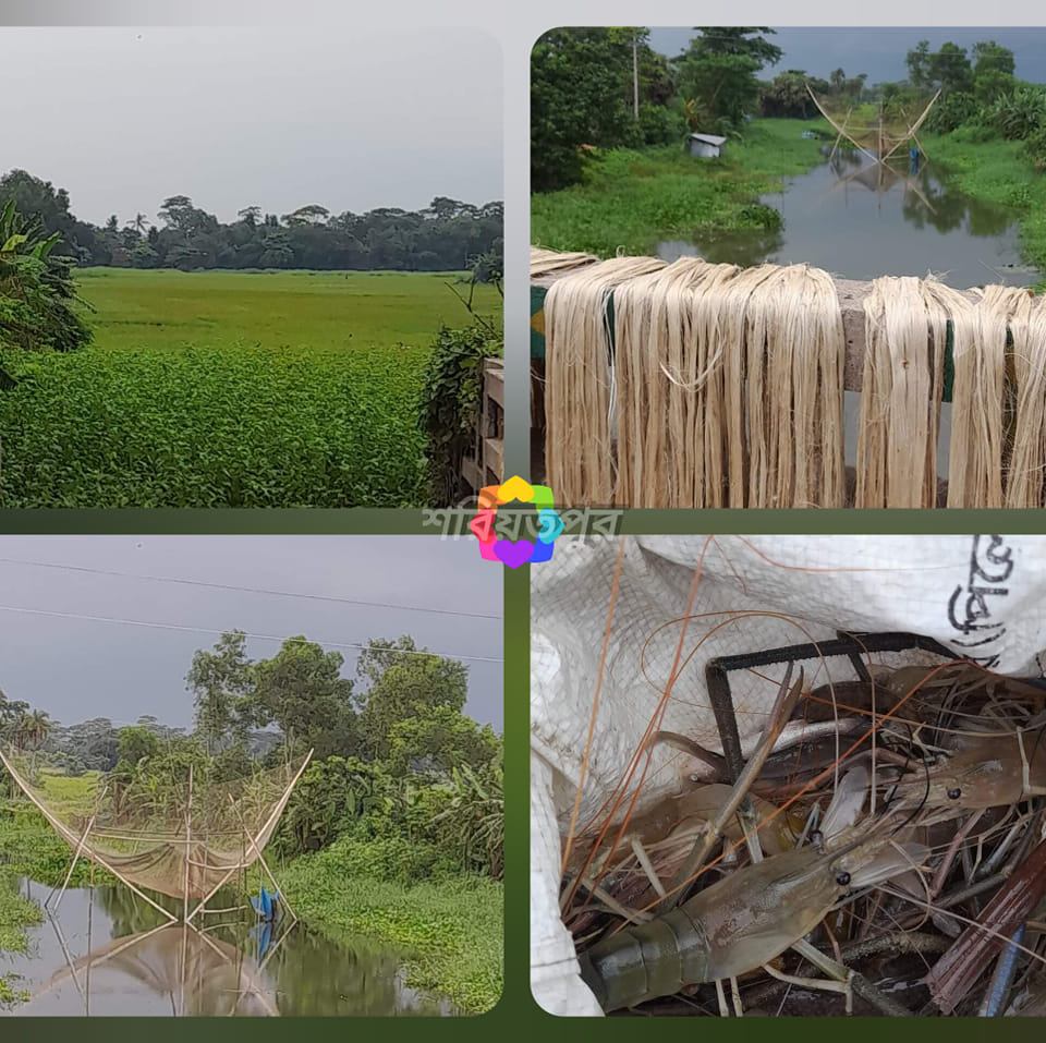 শরিয়তপুর - Shariatpur