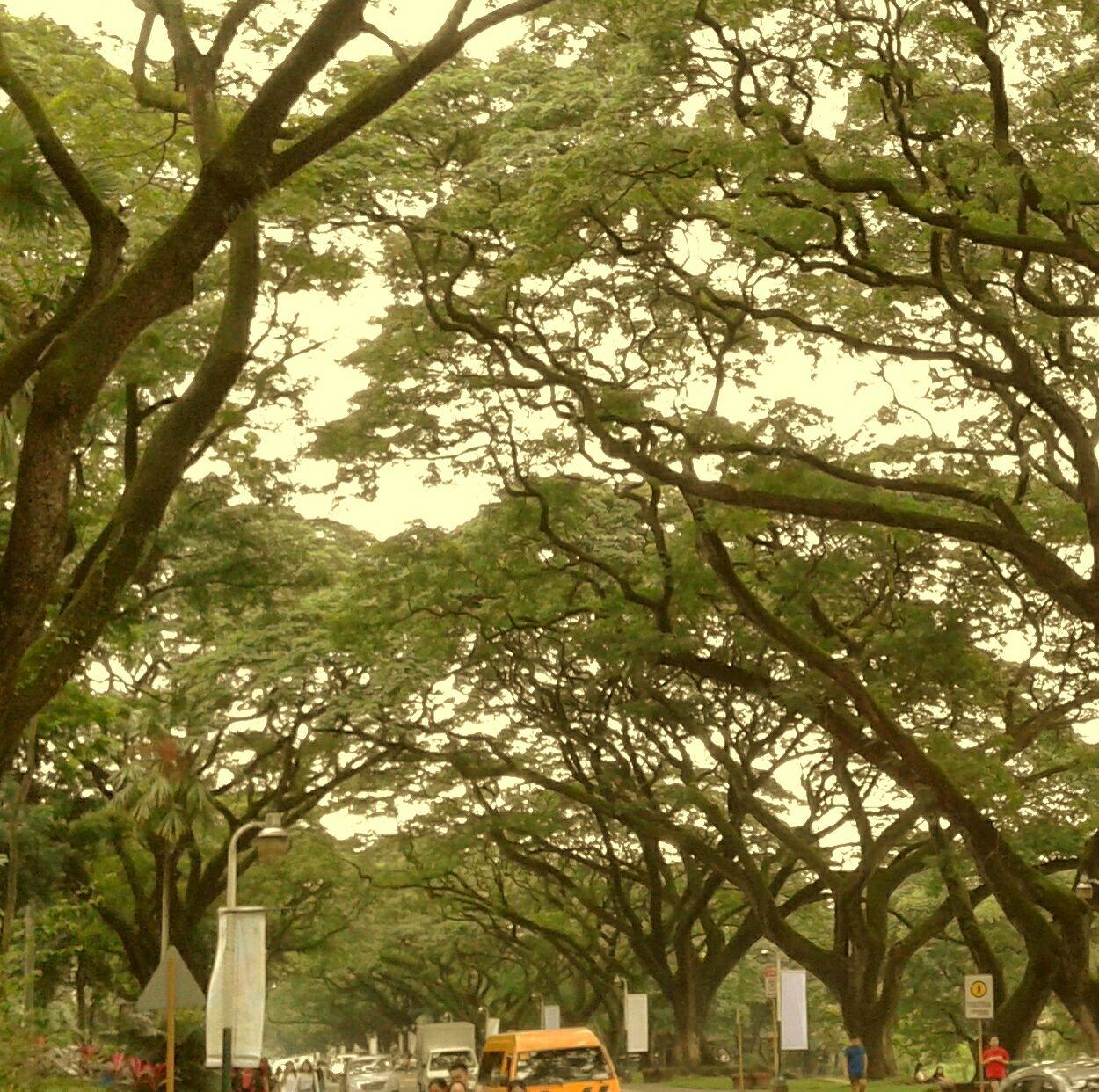 Berdeng Paraiso Sa Pinas | Cainta
