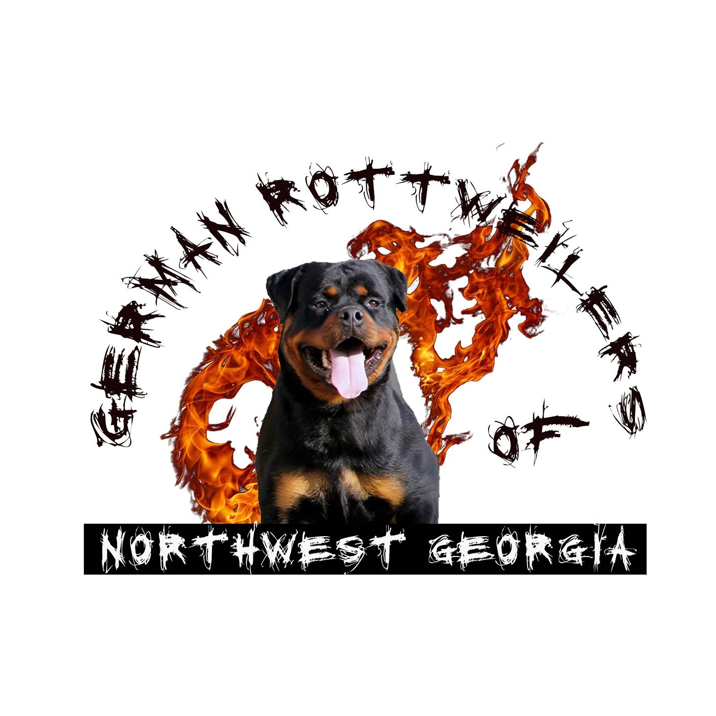 Showing Picture Warlock Rottweiler