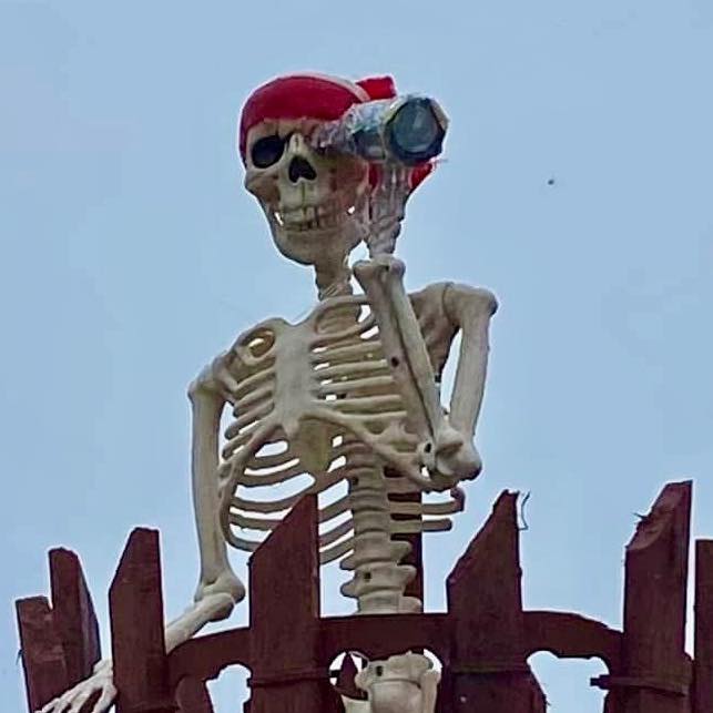 The Pirates of Lake Sinclair | Milledgeville GA