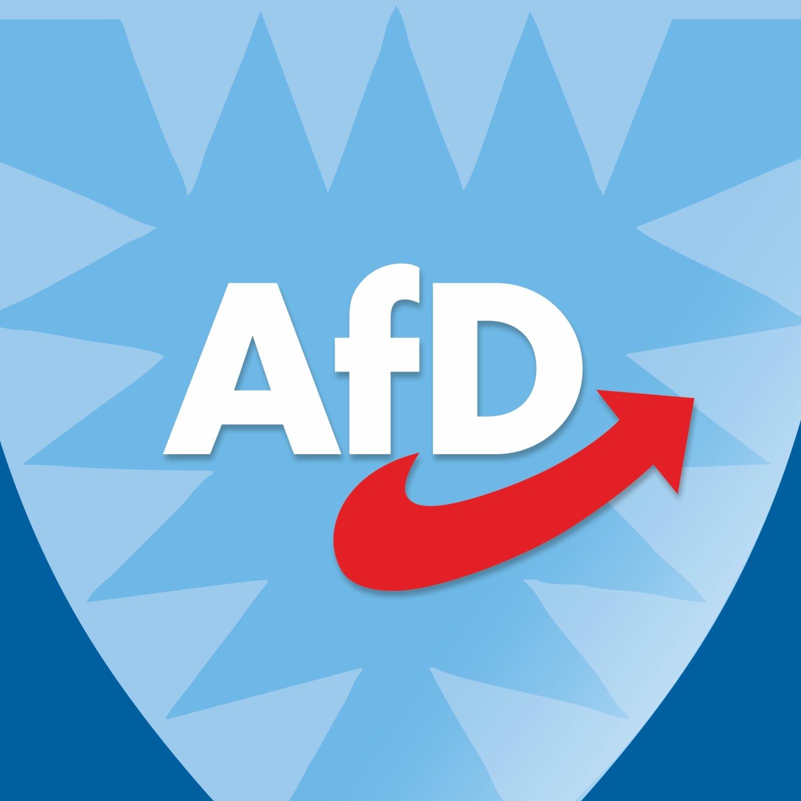 AfD Kiel