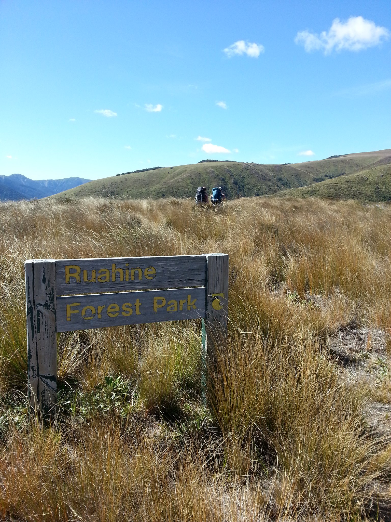 Ruahine Range, New Zealand