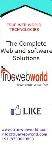 True Web World Technologies