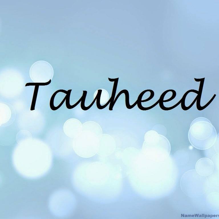 Tauheed | Islamabad