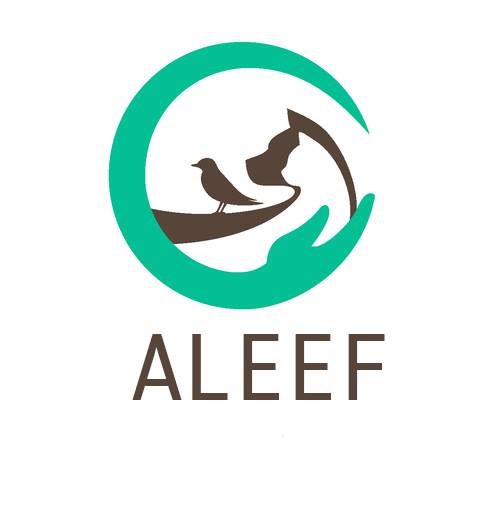 Aleef Animal Welfare | Gaza