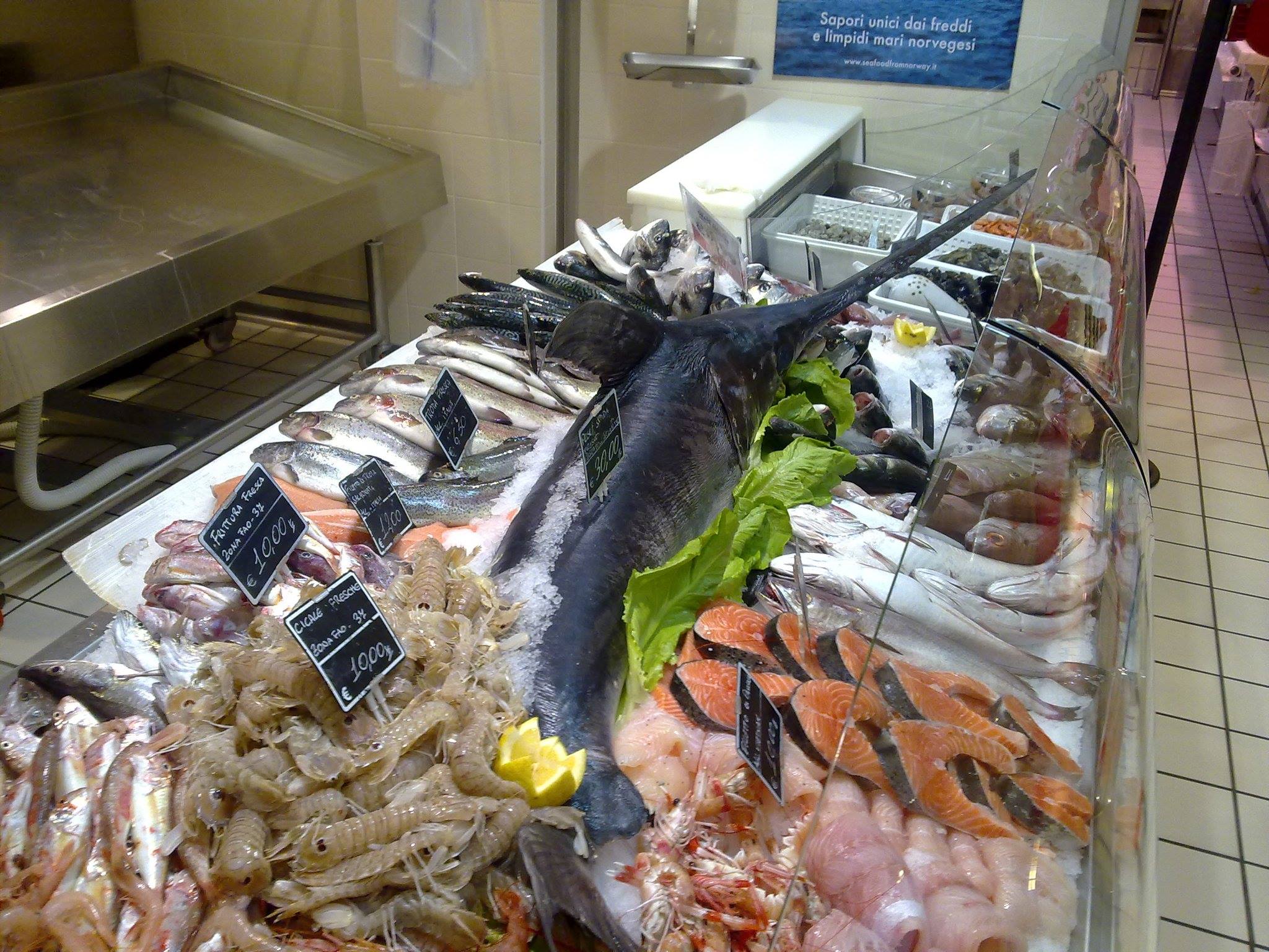 Pescheria da Rocco | Potenza