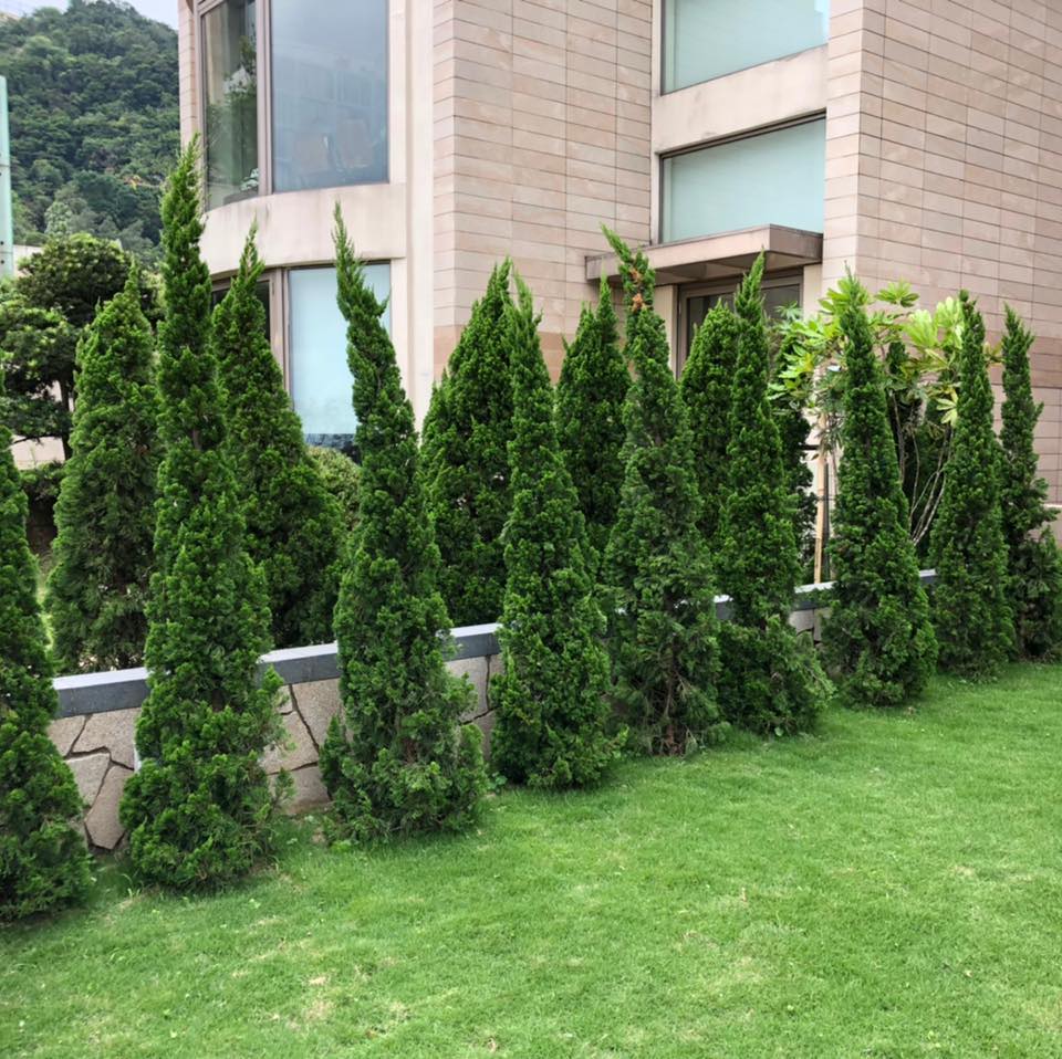 植生花園