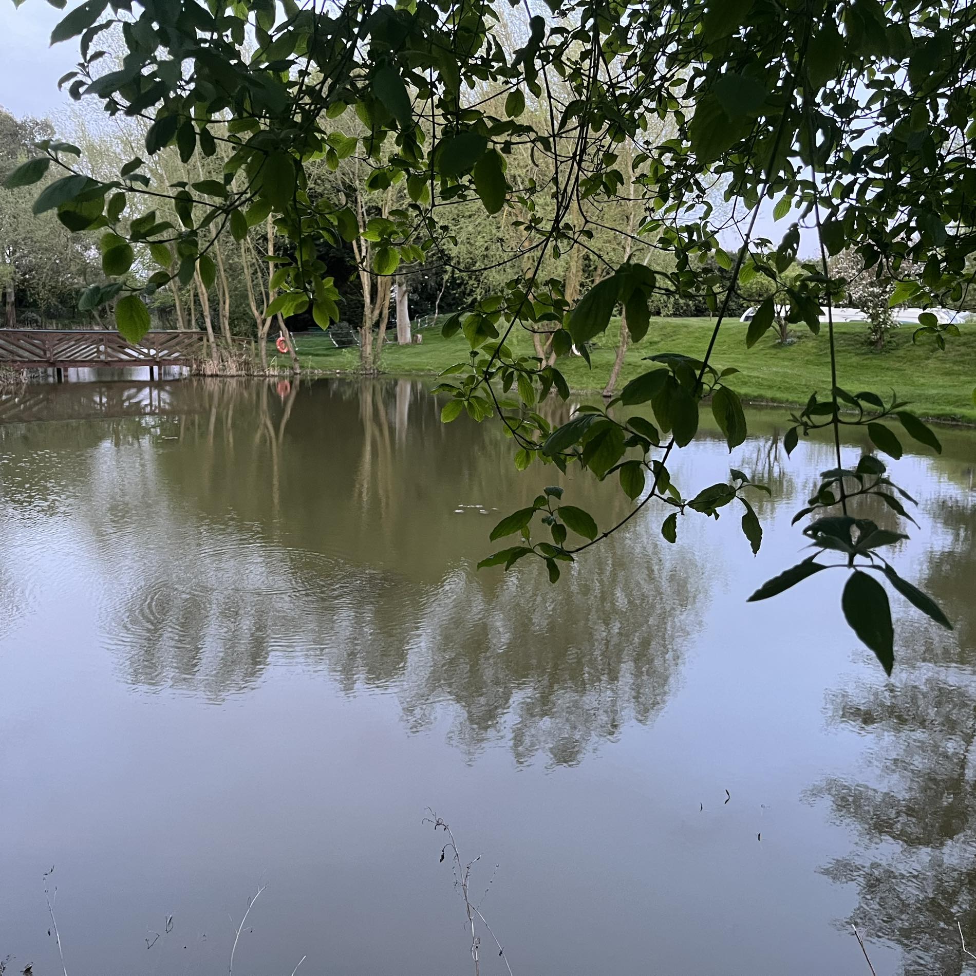 Strattons Farm Campsite New | Wisbech