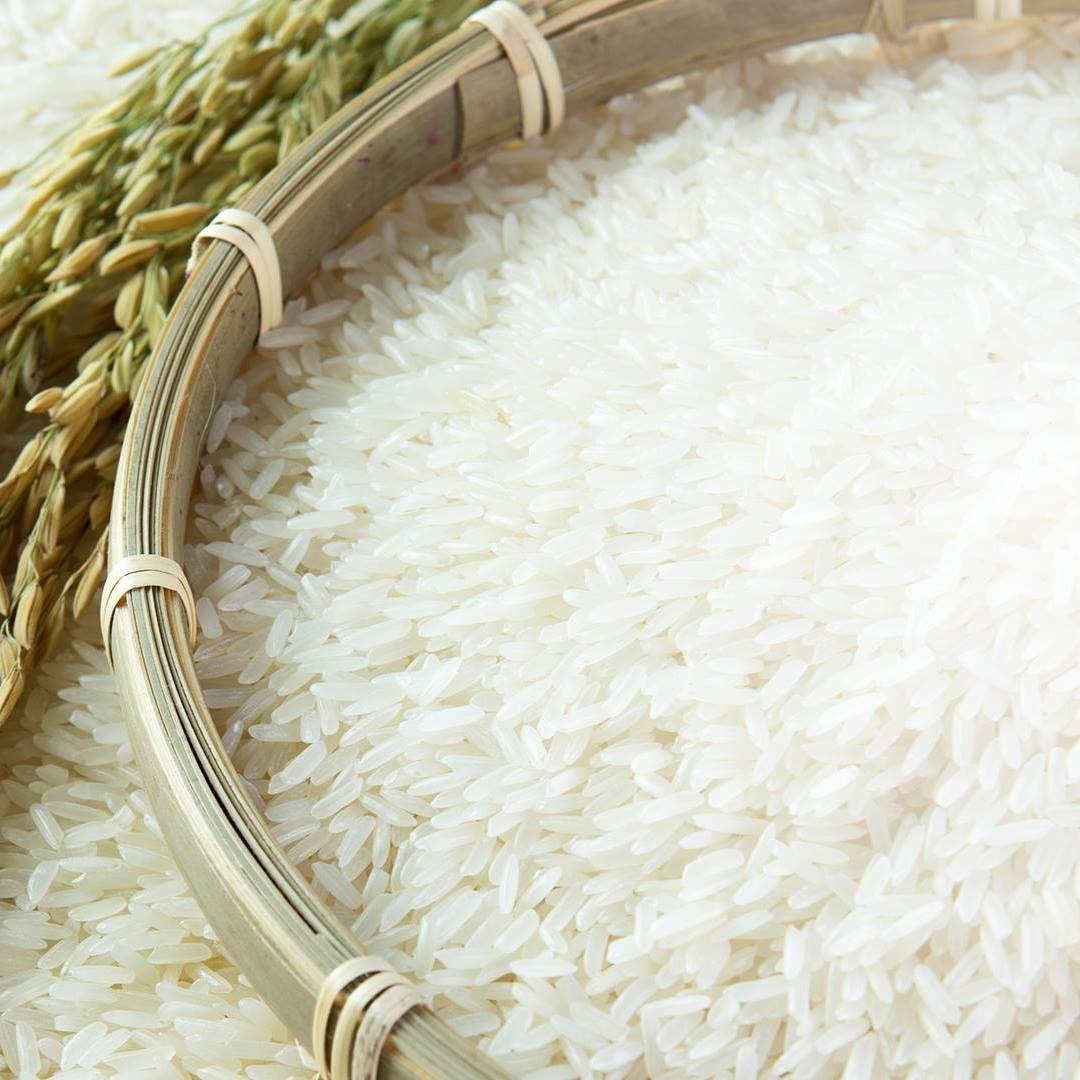 Pakistan Rice Traders | Islamabad