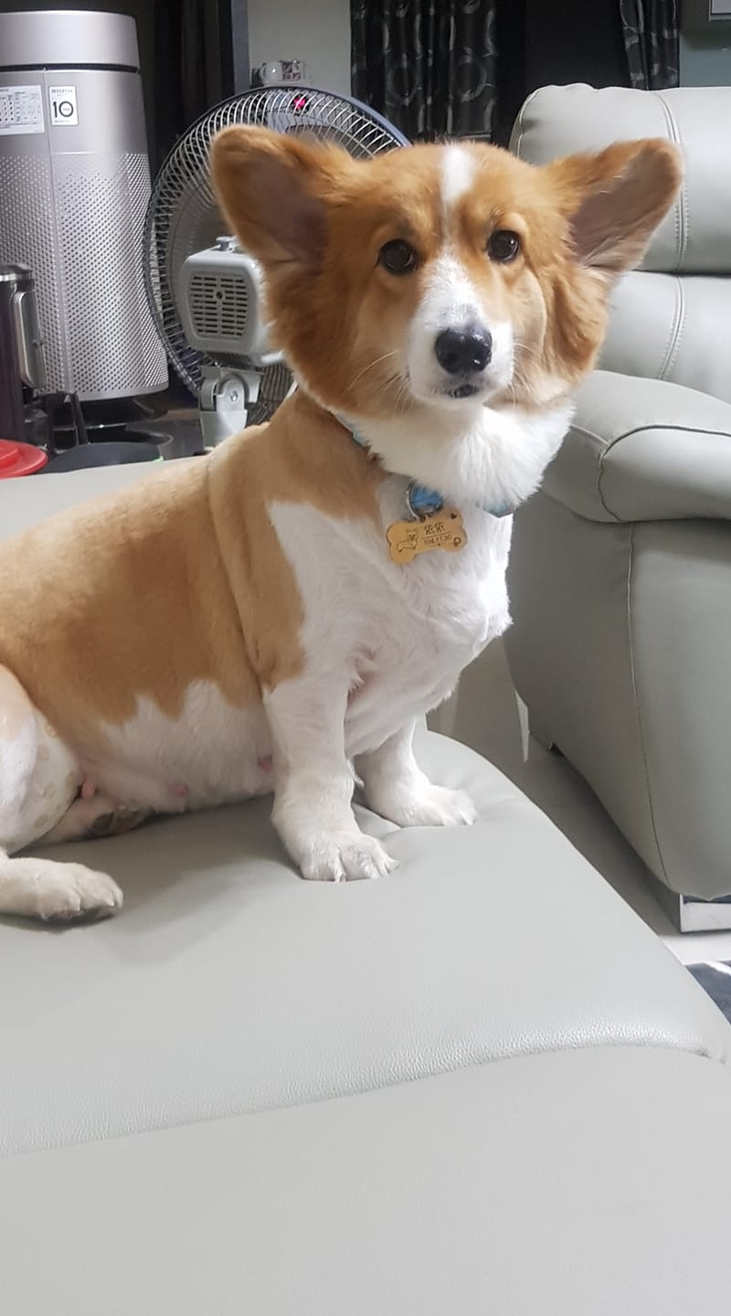 蕾基一億