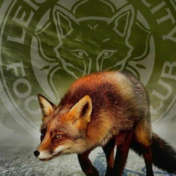 Join @taylor_lcfc4190 in our Matchday Minus One weekly show, as we talk ...
