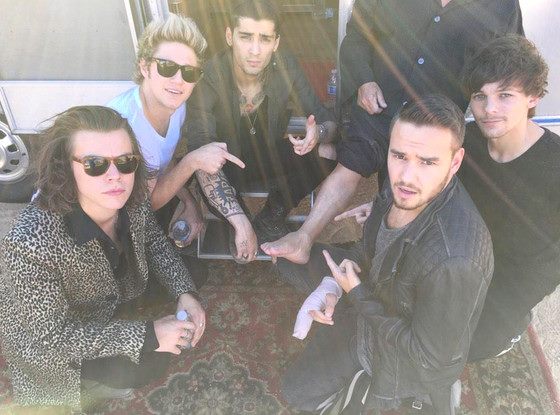 Fans de One direction
