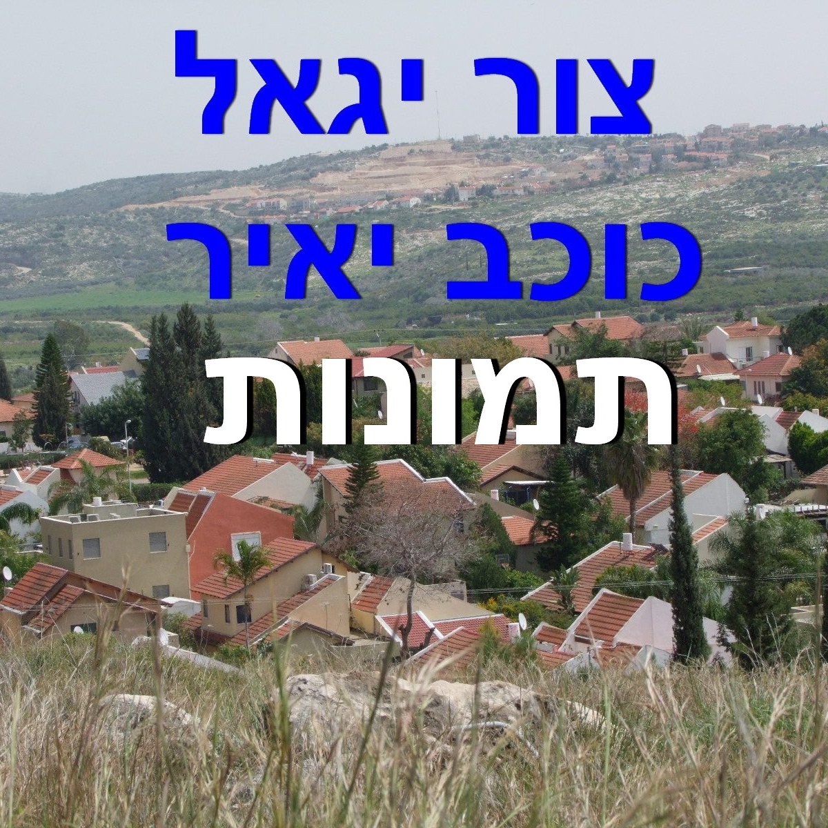 תמונות נוער צור יגאל - כוכב יאיר