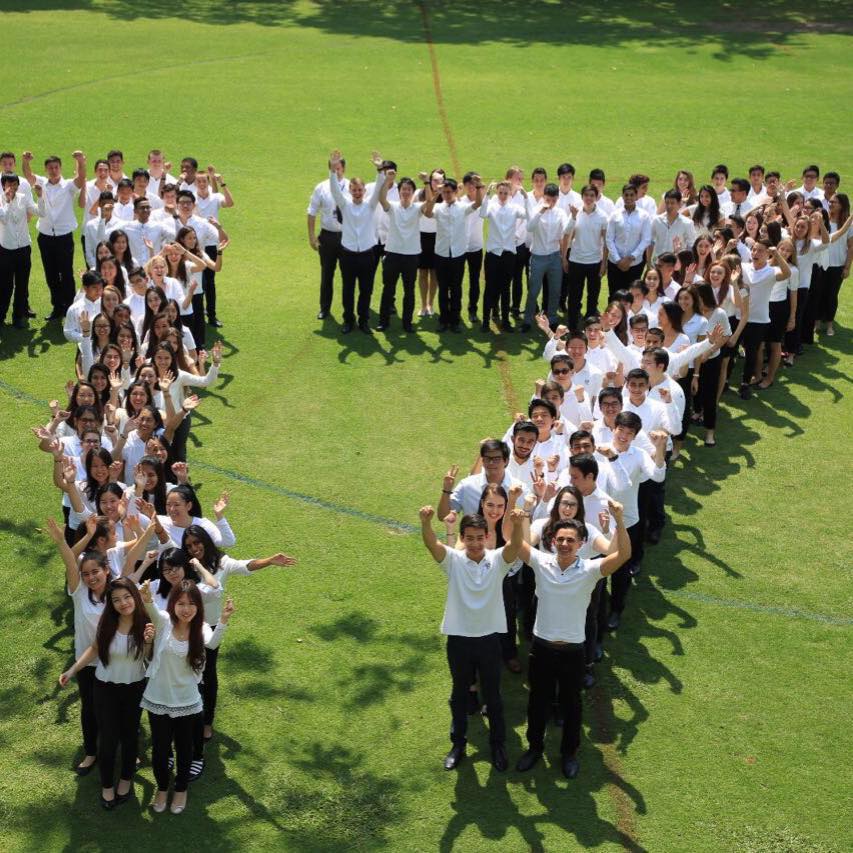 GRAD 17