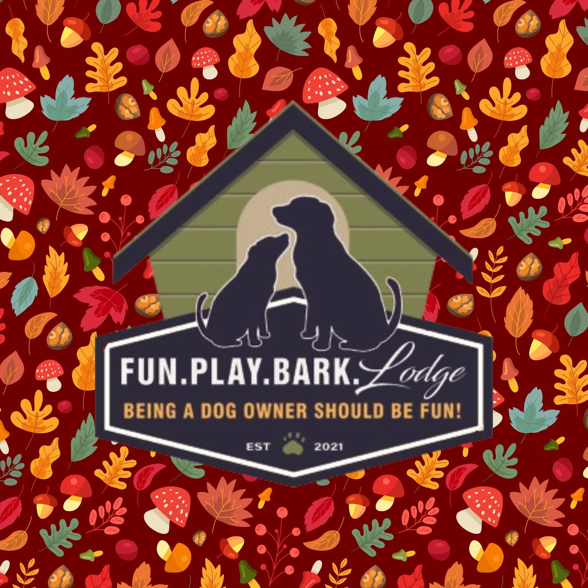STARTS MONDAY, MARCH 10!!!! Hello!... - Fun Play Bark Lodge | Facebook