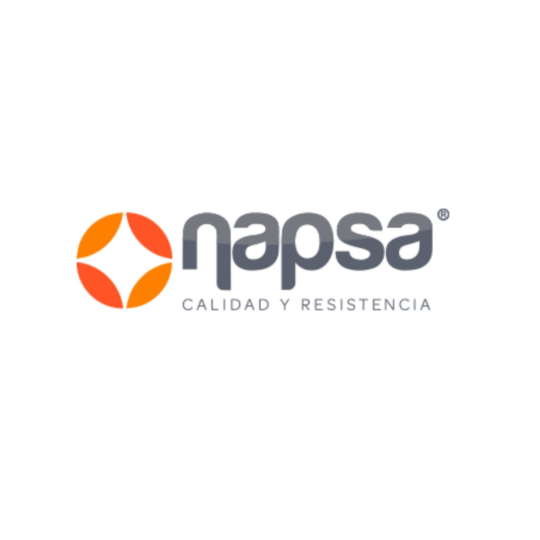 Napsa de México | Zapopan