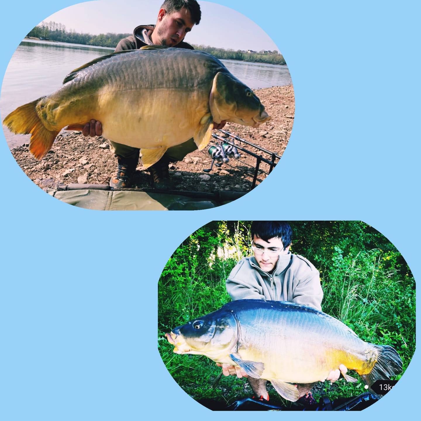 Fish team