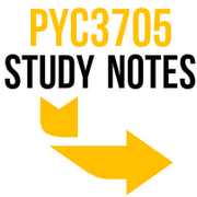 Pyc3705 Study Notes