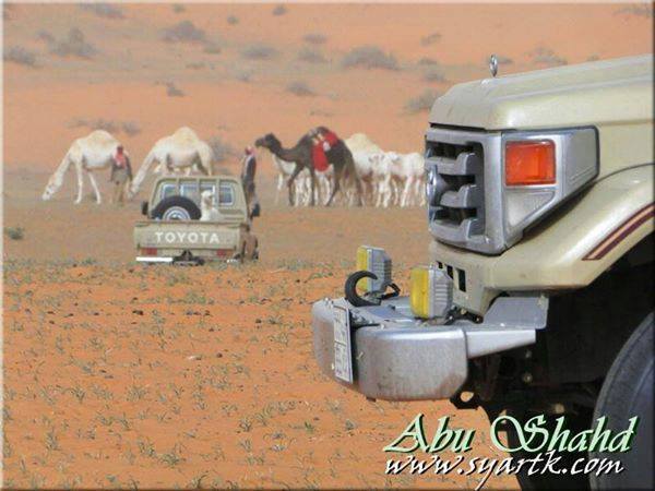 تويوتا الاند كروزر البريقه | Al Burayqah