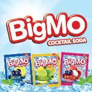 BigMo.ID