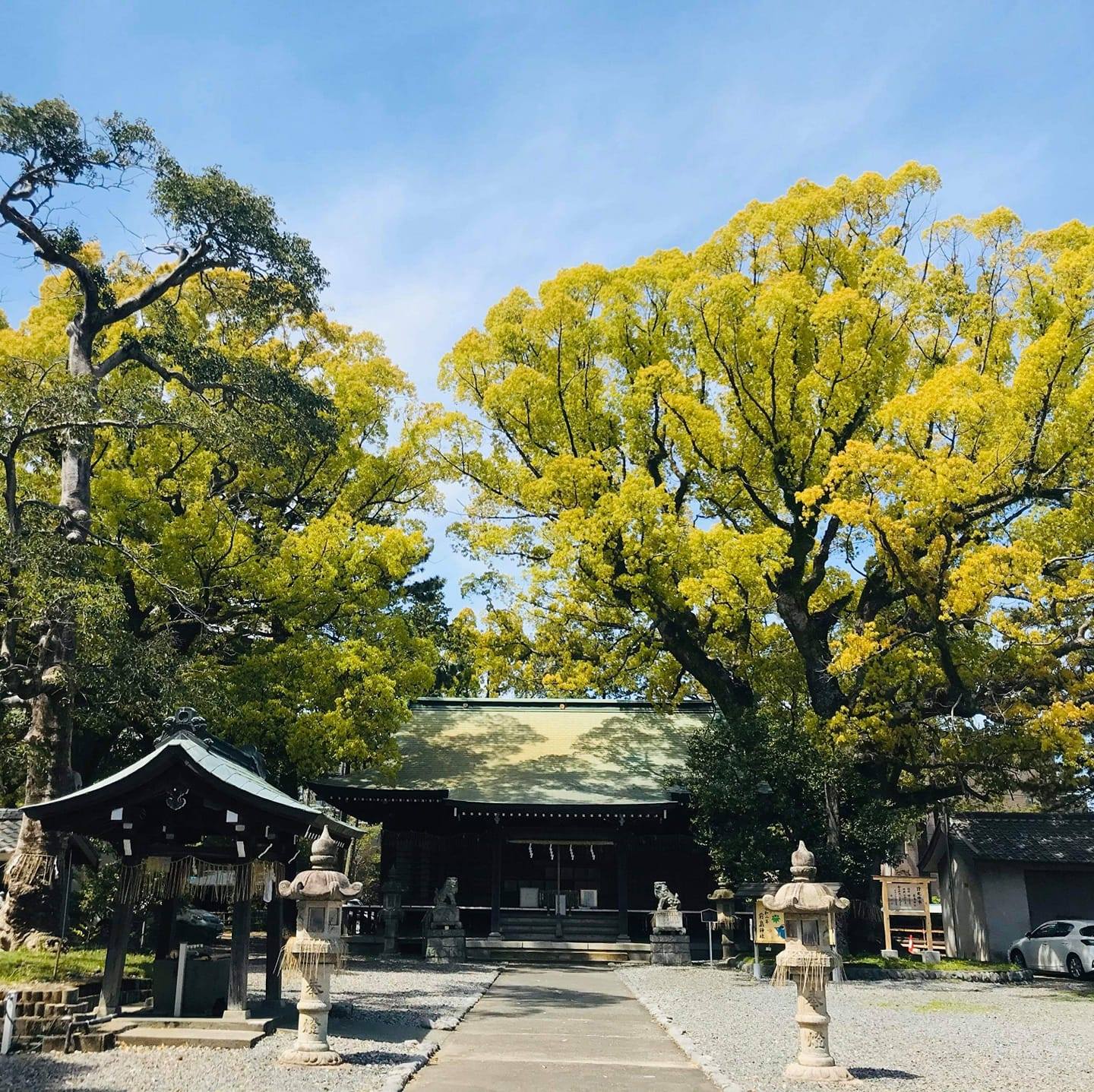活動歴および当時の関連ビジュアル記録