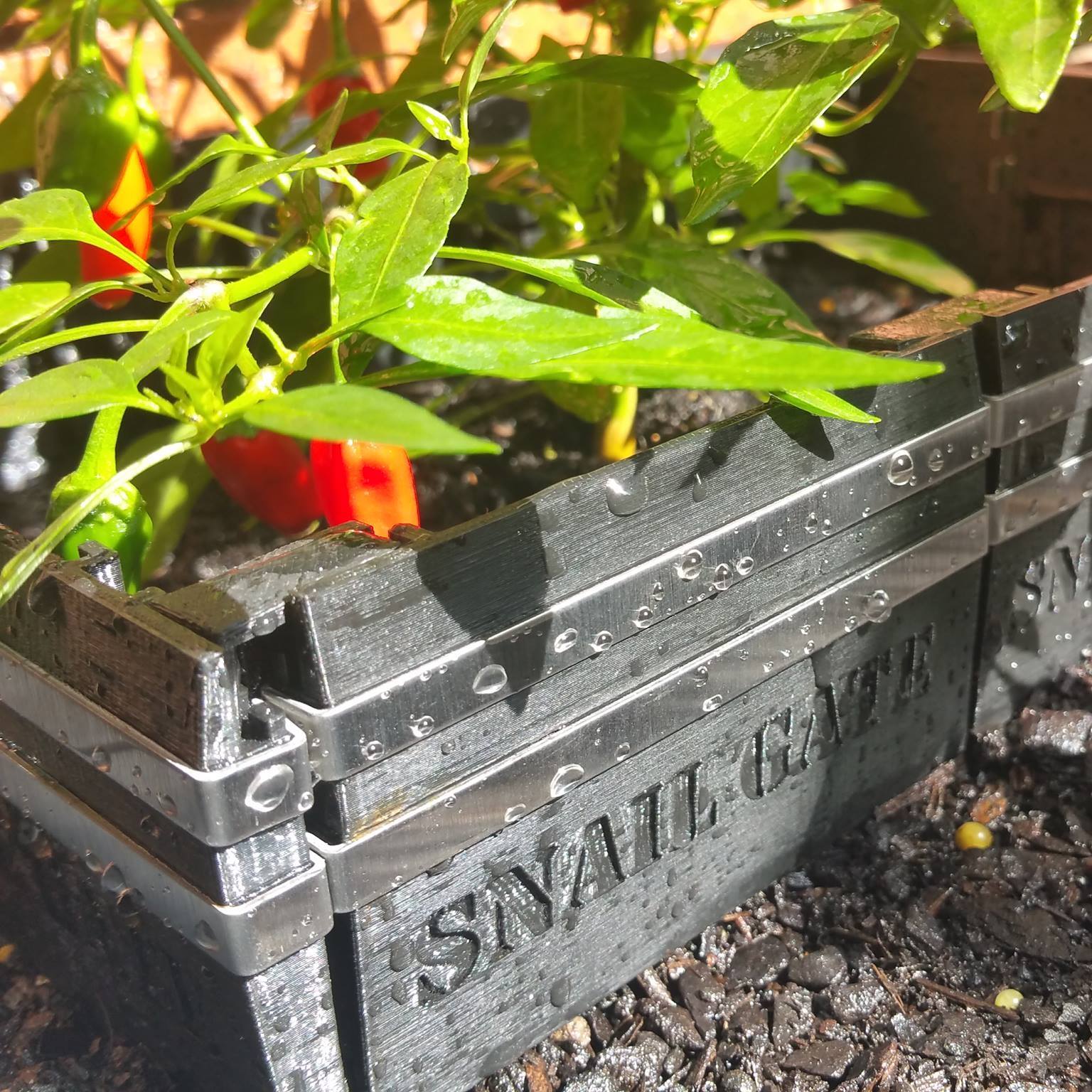 The Snail Gate
