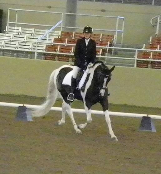 UPDATED LESSON... - LS Horse Training and Lessons | Facebook