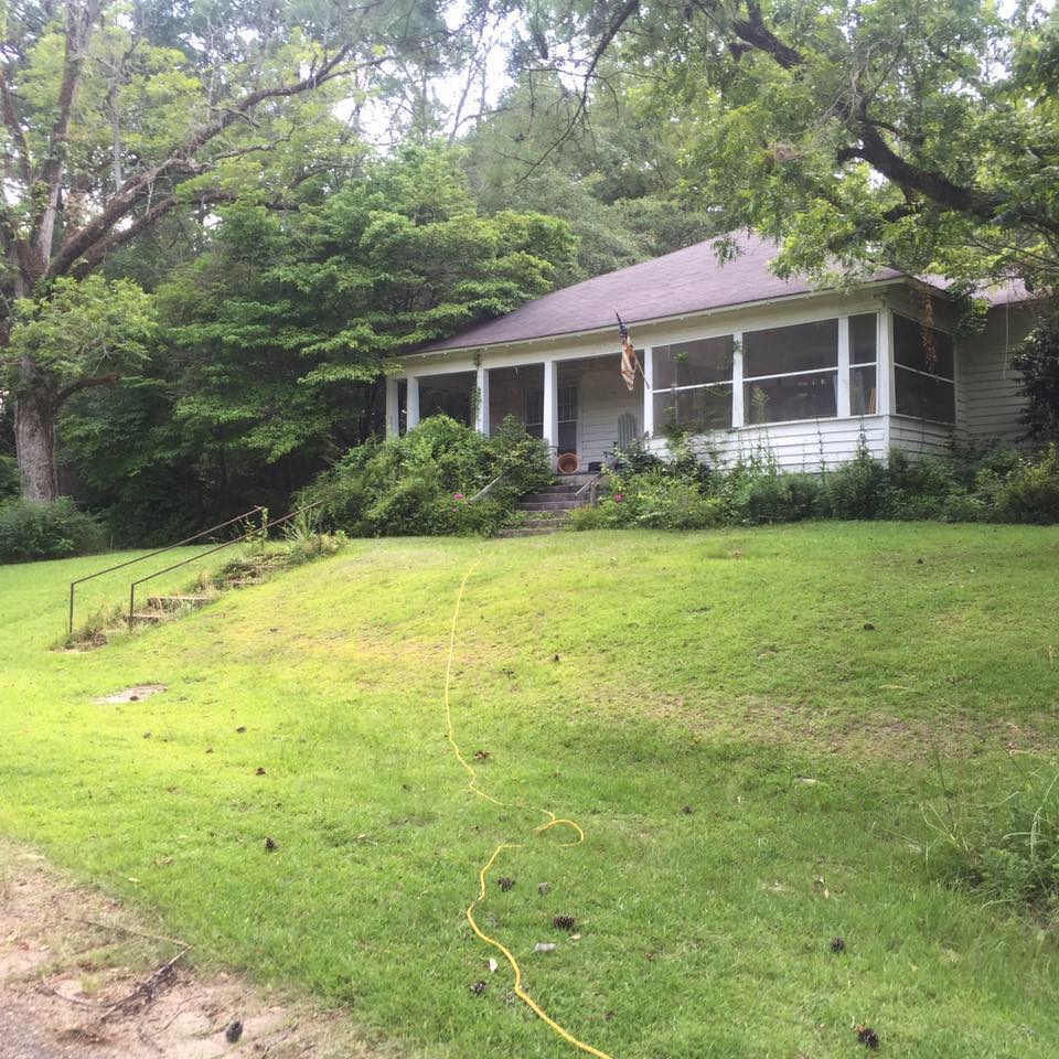 Rescued & renewed | Shellhorn AL