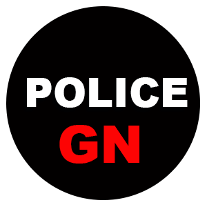 Police Nationale De Guinee 2 0