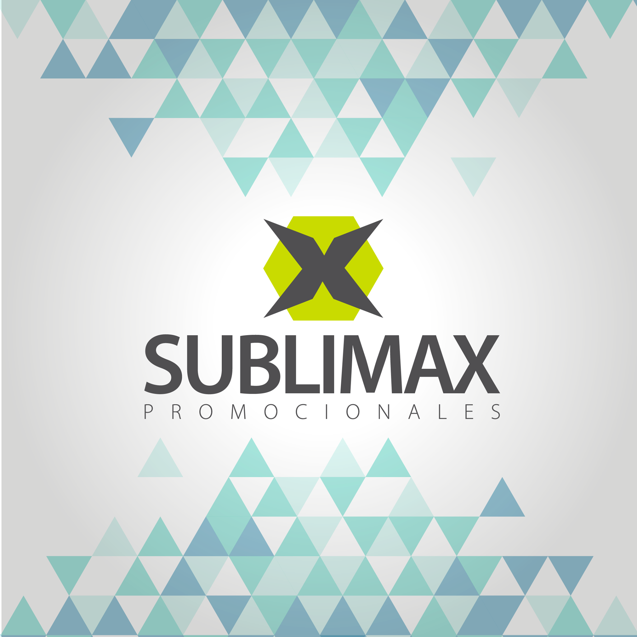 Sublimax Zacatecas