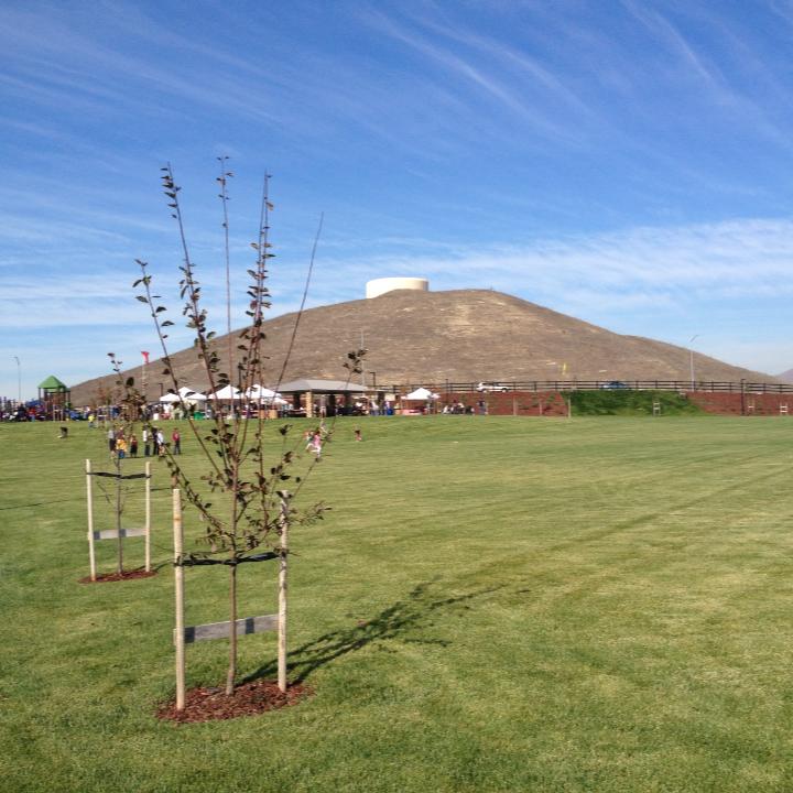 Schaefer Ranch Park | Dublin CA