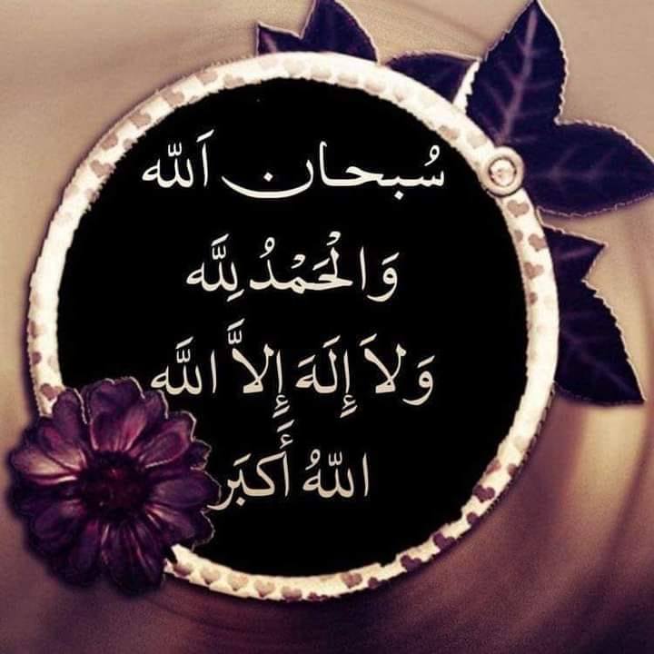 كلاب ضالة تقتحم مدخل منزل في منطقة جاوا #رؤيا_اخبار #الأردن #الكلاب ...