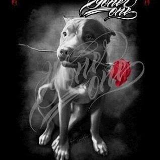 JFTH Mis Letras