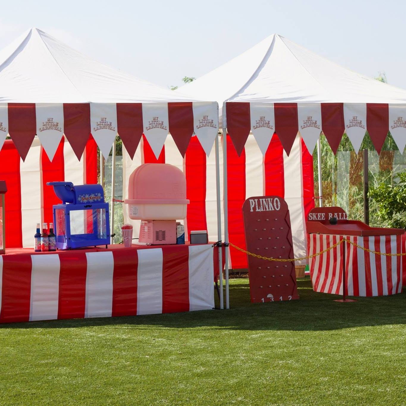 The Carnival Fun Experts