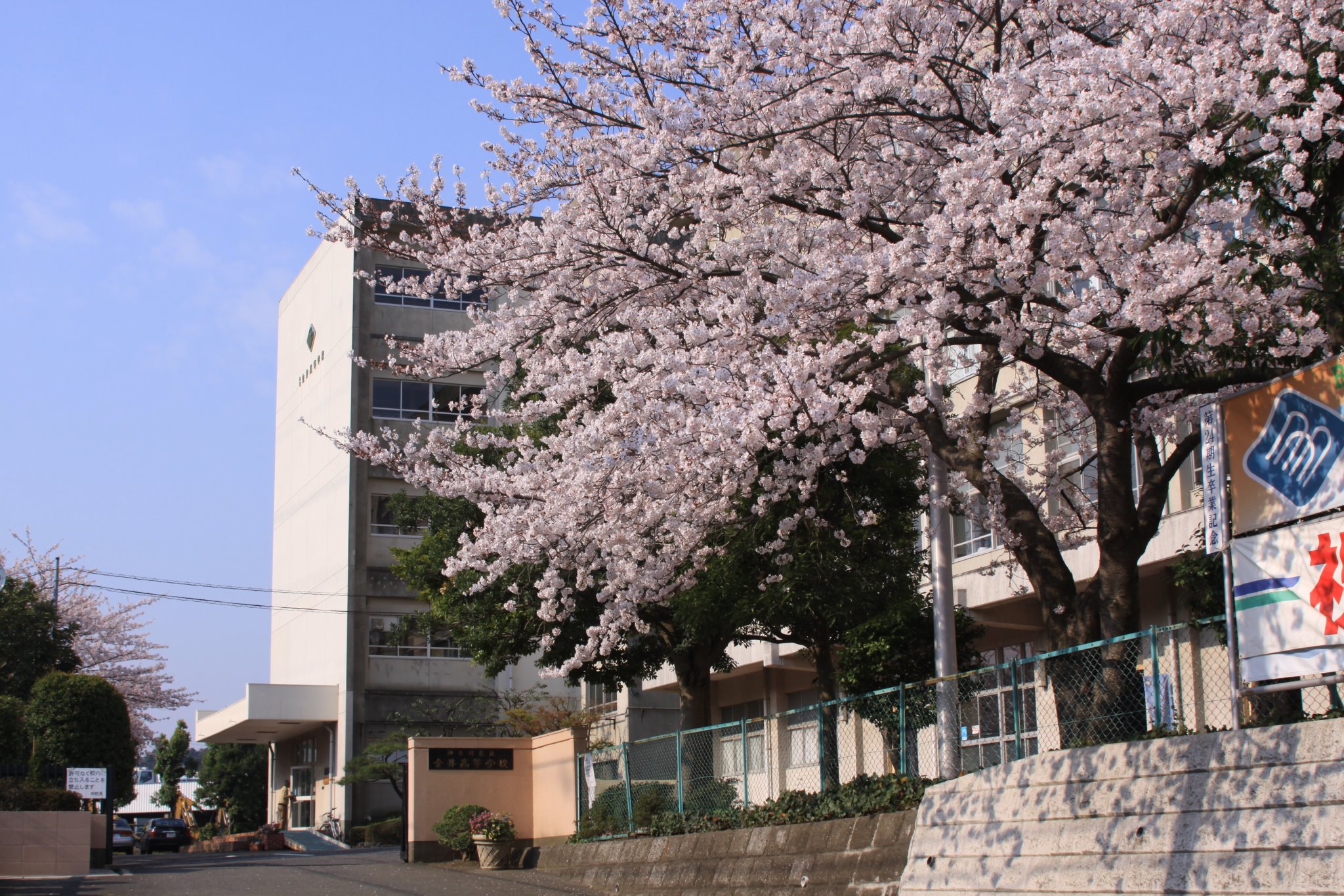 神奈川 県立 金井 高等 学校