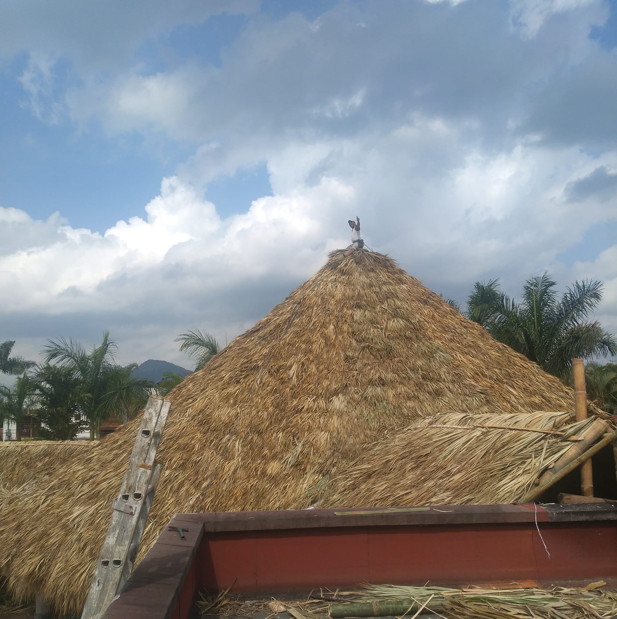 Palapas Kioskos Y Diseños Hermanos Montalvo