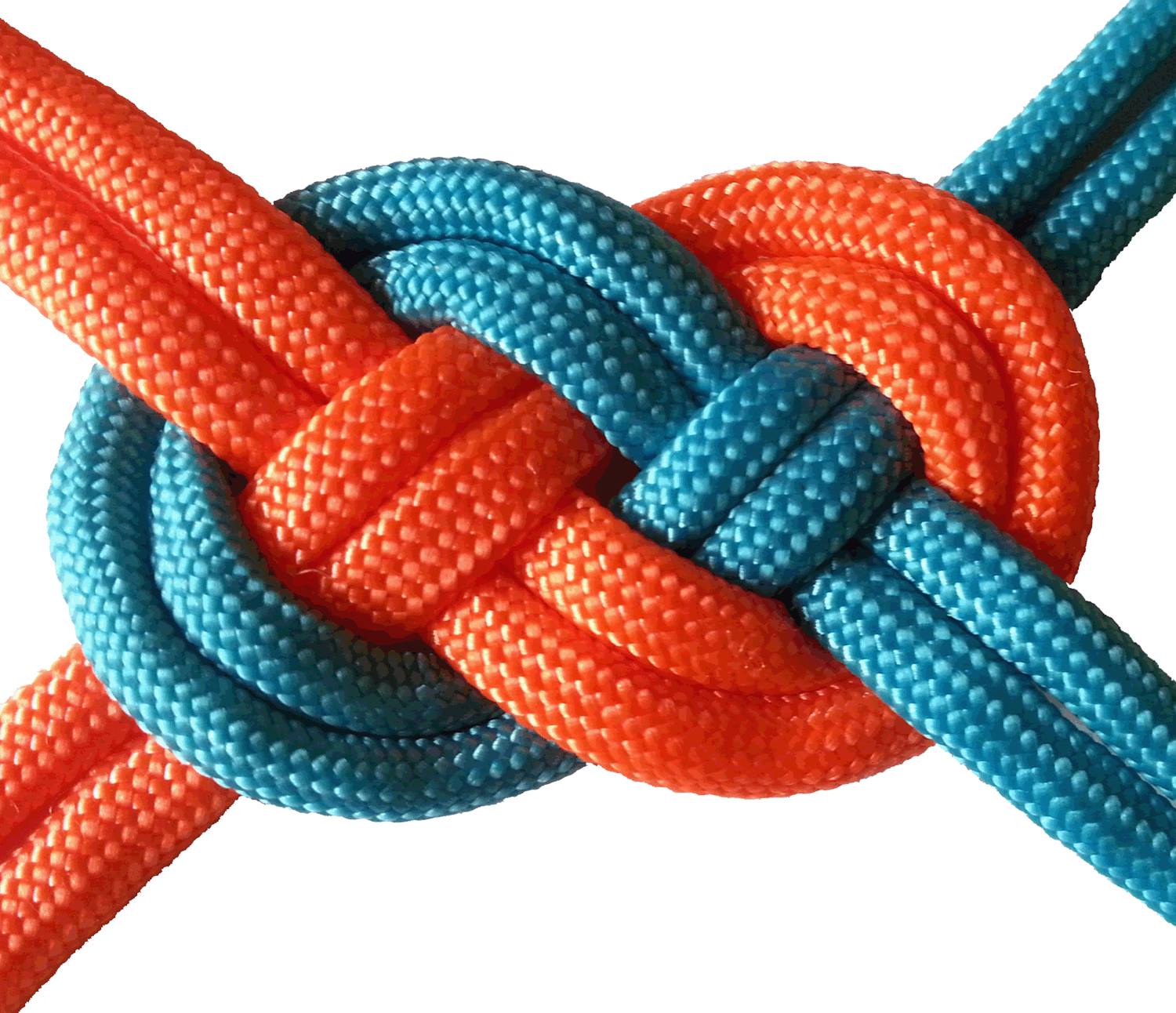 Best Knot, Paracord Products, Knots, Nautical design | Moscow