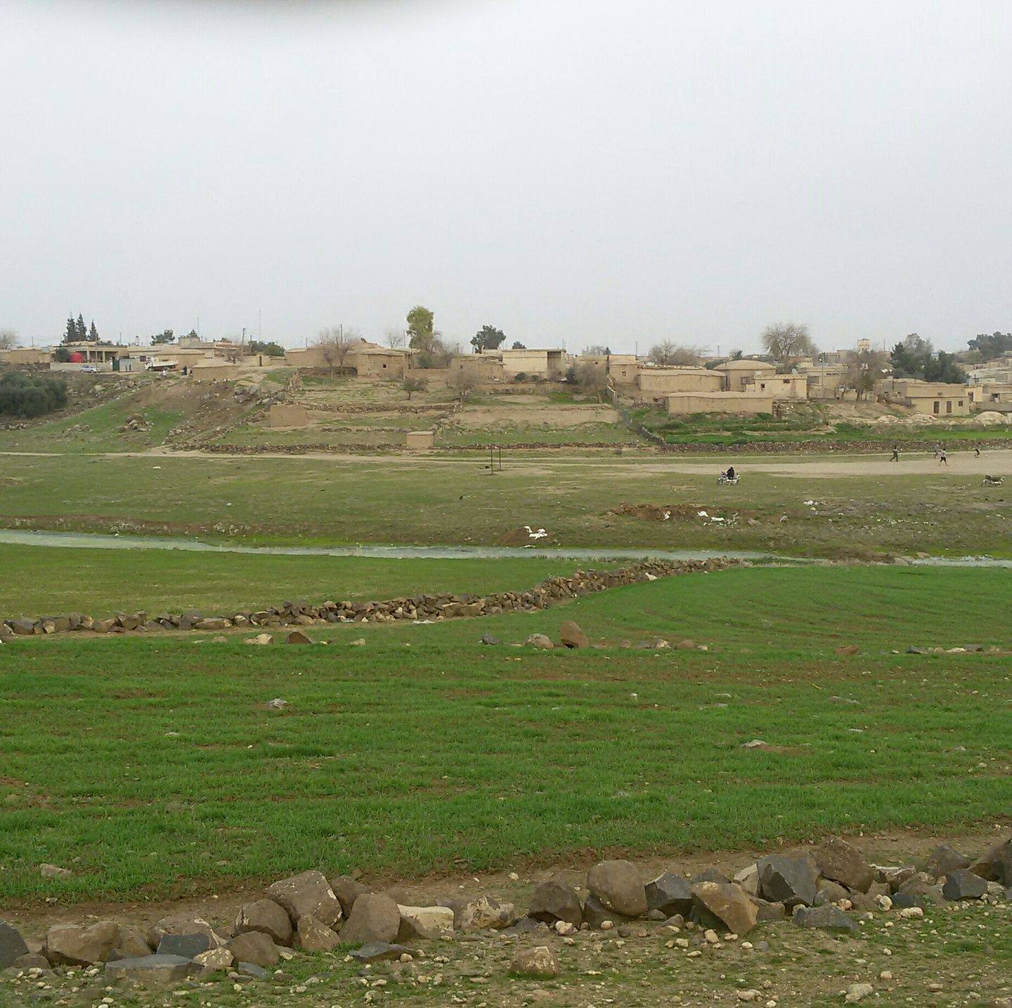 دنگ زخيري
