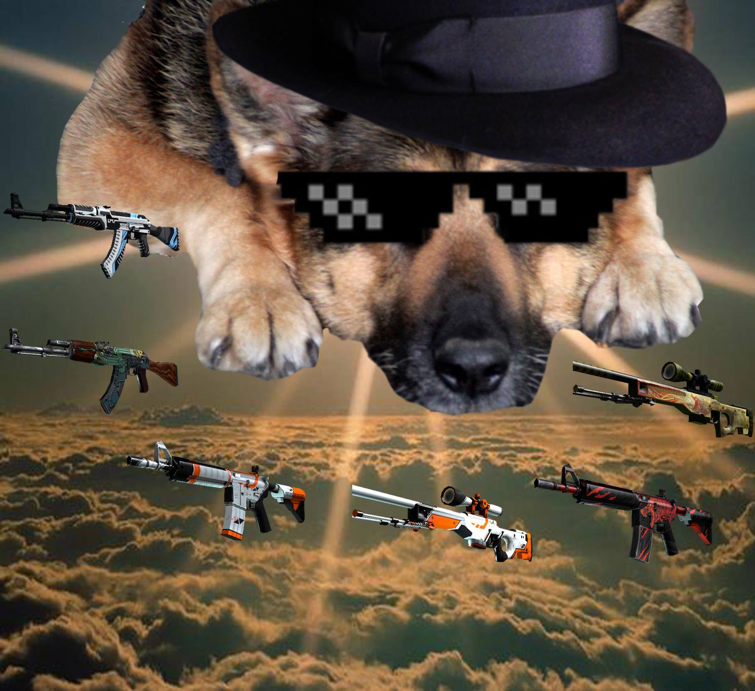 CS:GO Bets Doge