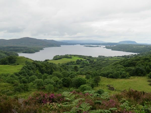 O'Rourke's Table | Leitrim