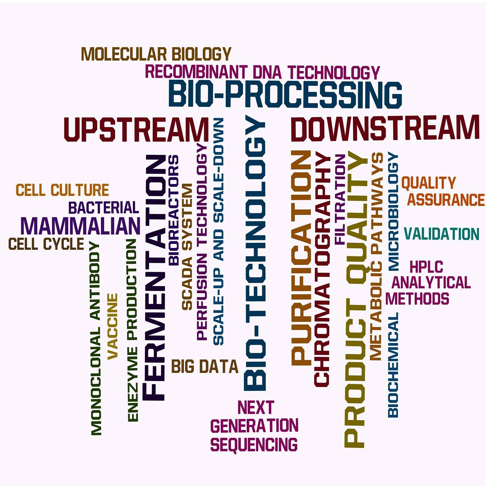 UNik Bio-Process Engineer