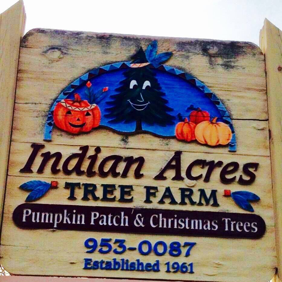 Mr. PumpkinHead is looking... - Indian Acres Tree Farm | Facebook