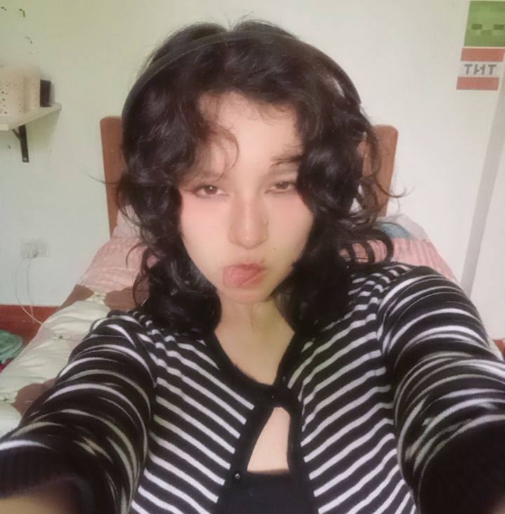 Skibidi Susan