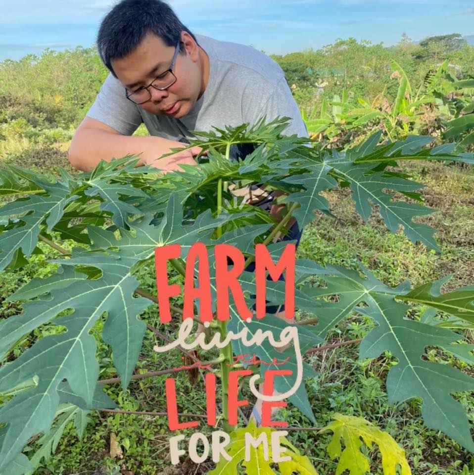 Andrew Integrated Farm | Philippine