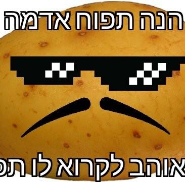 מימים ישראלים