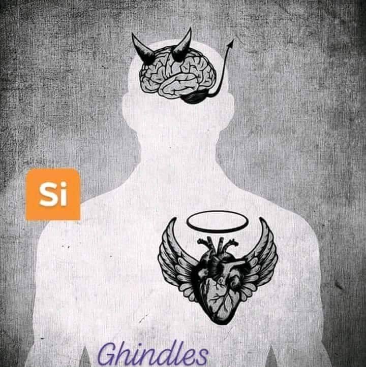 دووبل سيس 6/6